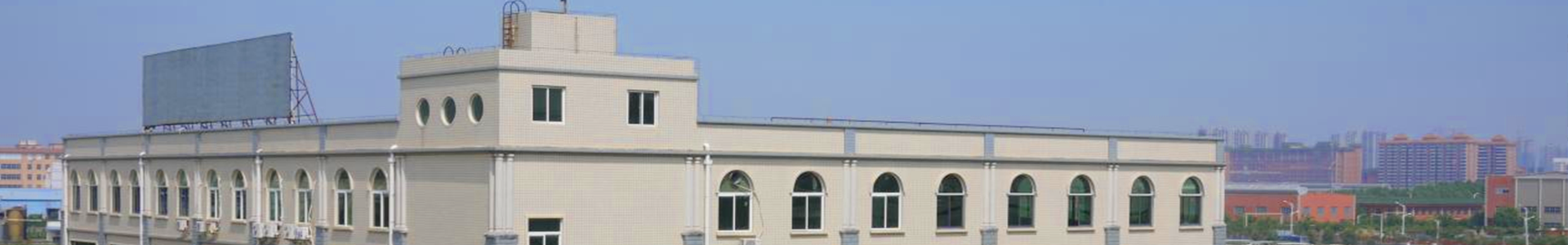 Company Profile